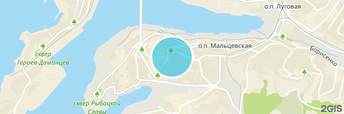 2gis map