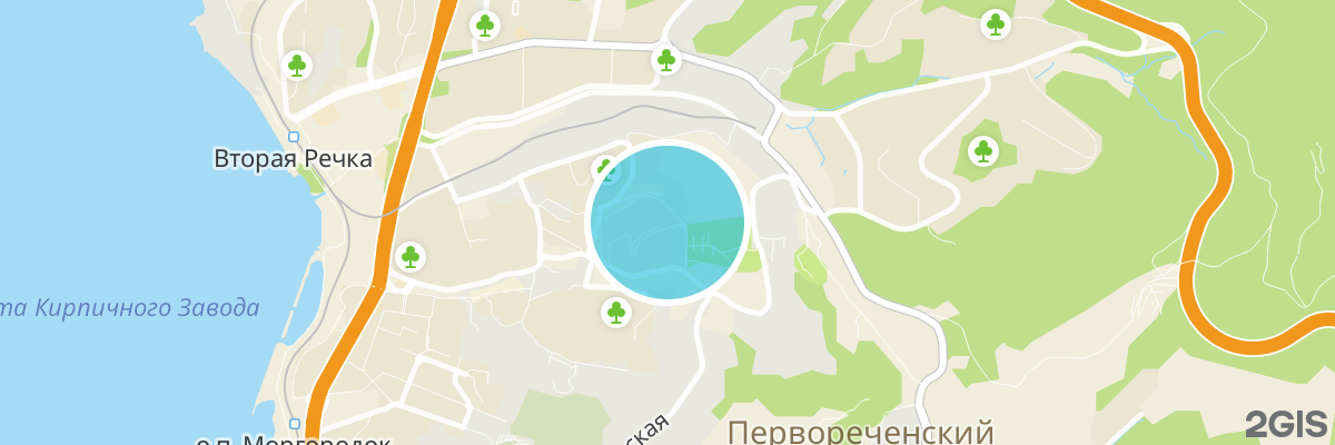 2gis map