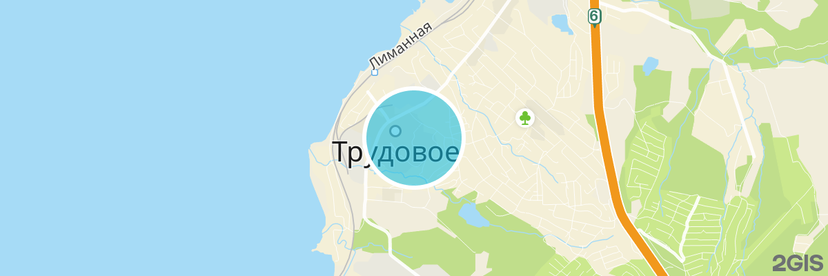 2gis map