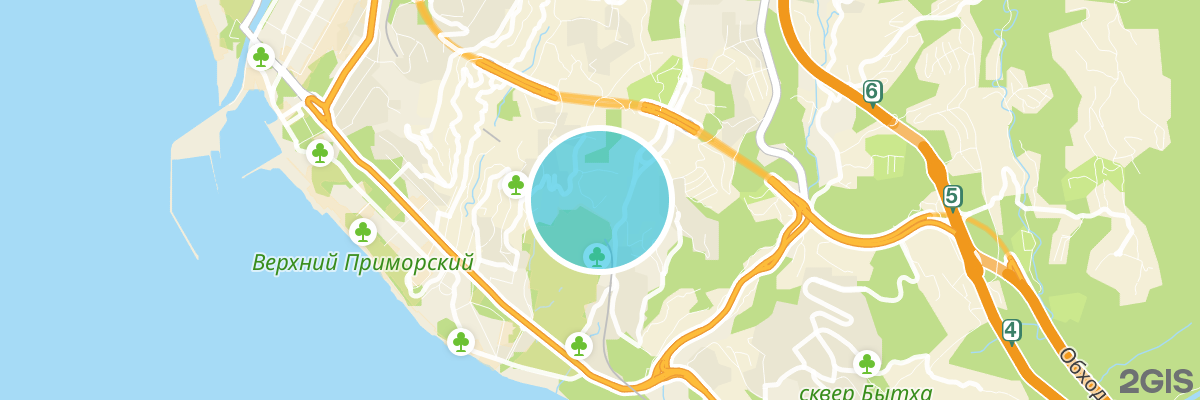 2gis map