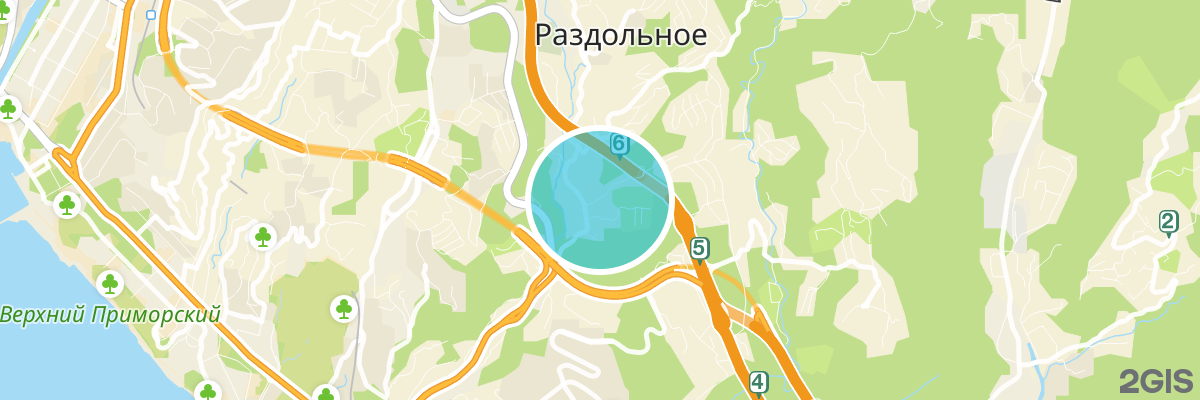 2gis map