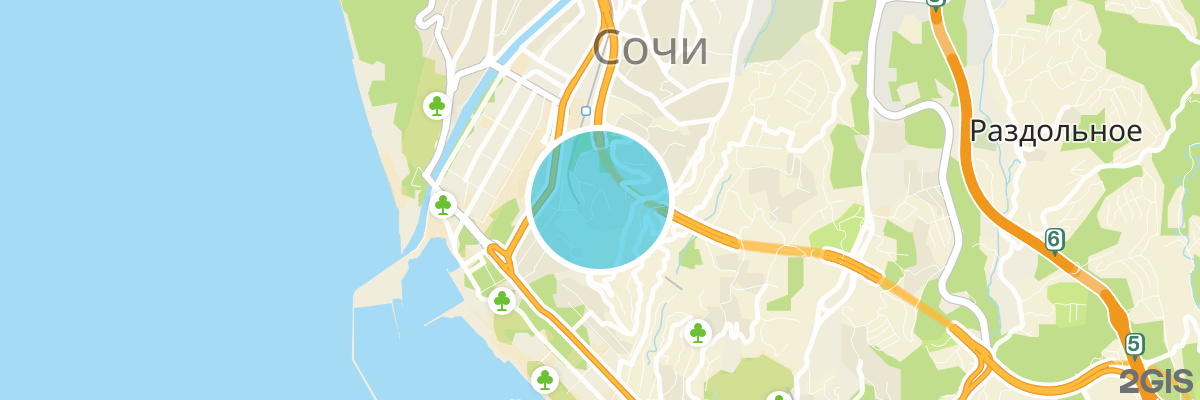2gis map
