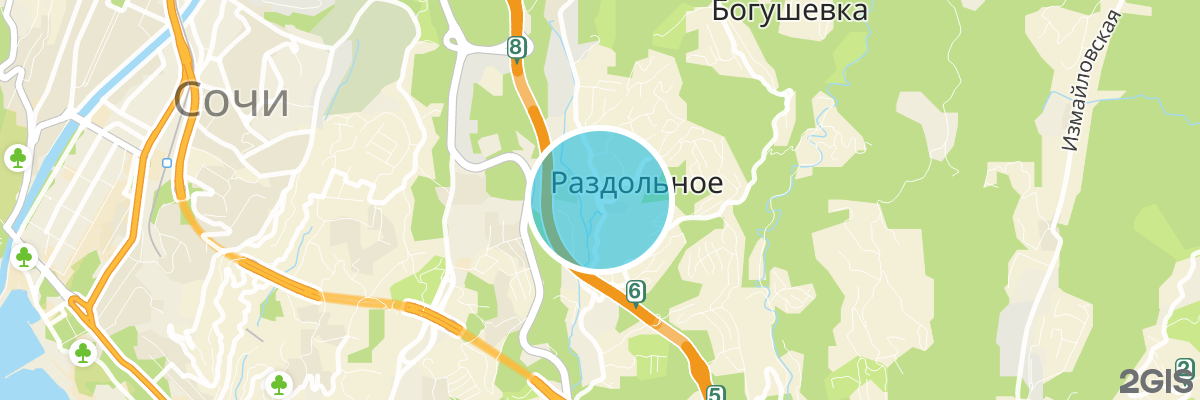 2gis map