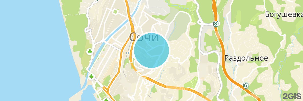 2gis map
