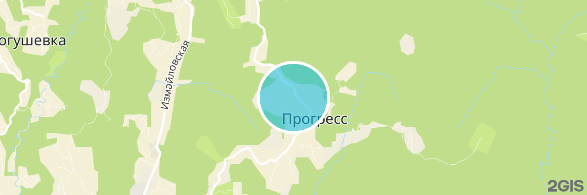 2gis map