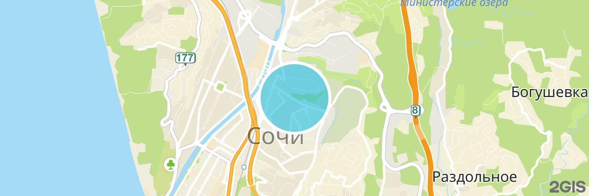 2gis map