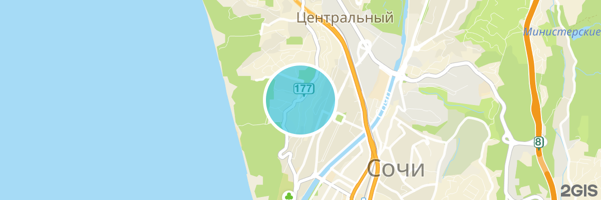 2gis map