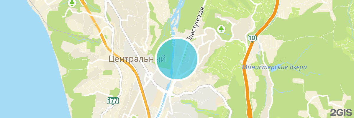 2gis map