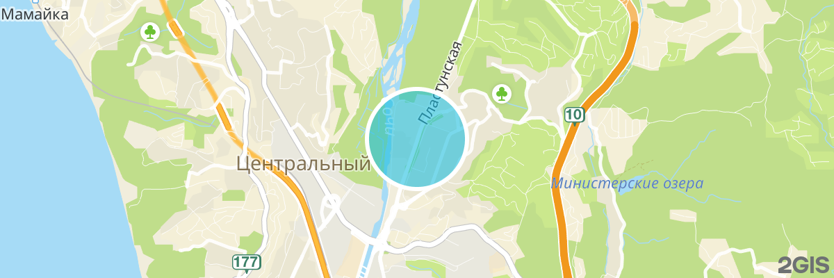 2gis map