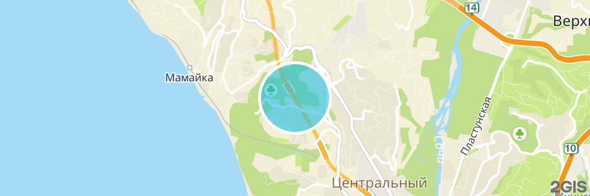 2gis map