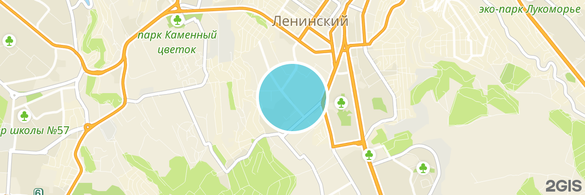 2gis map