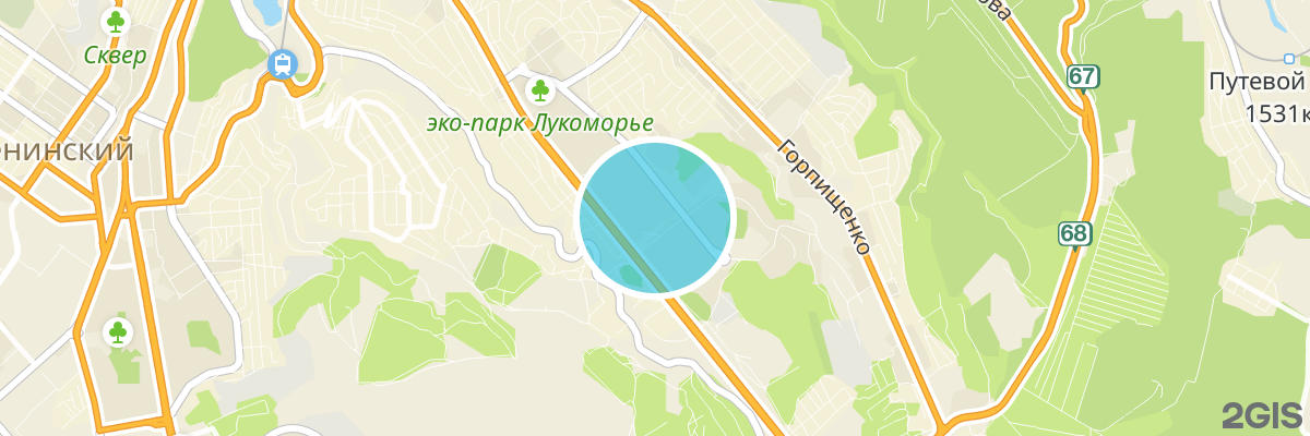 2gis map