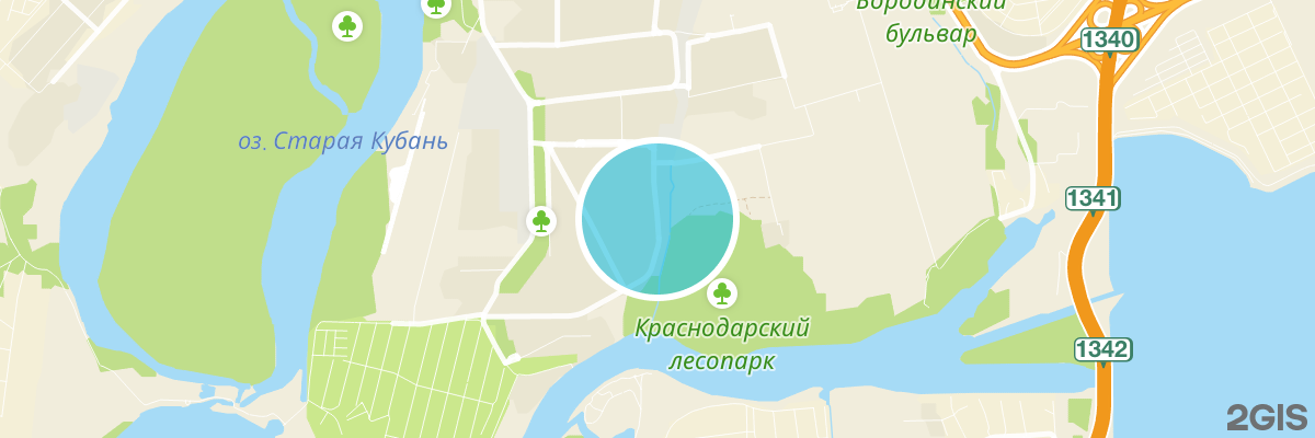 2gis map