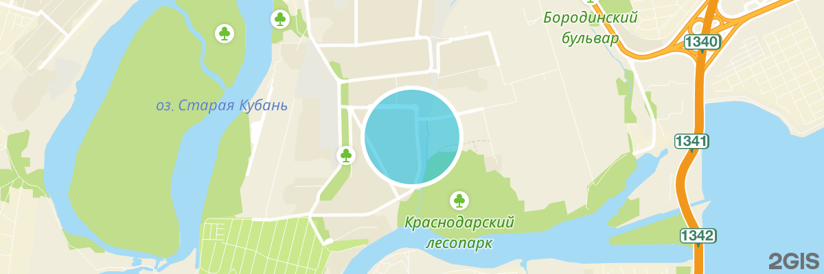 2gis map