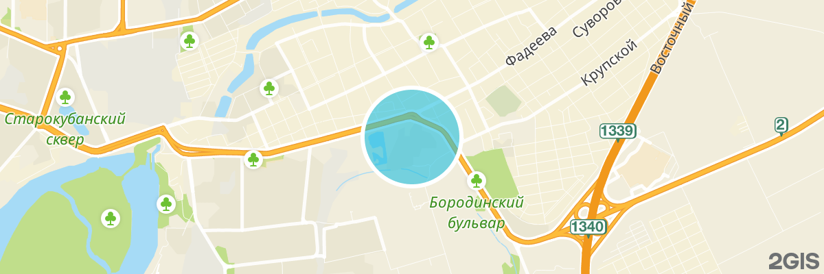2gis map