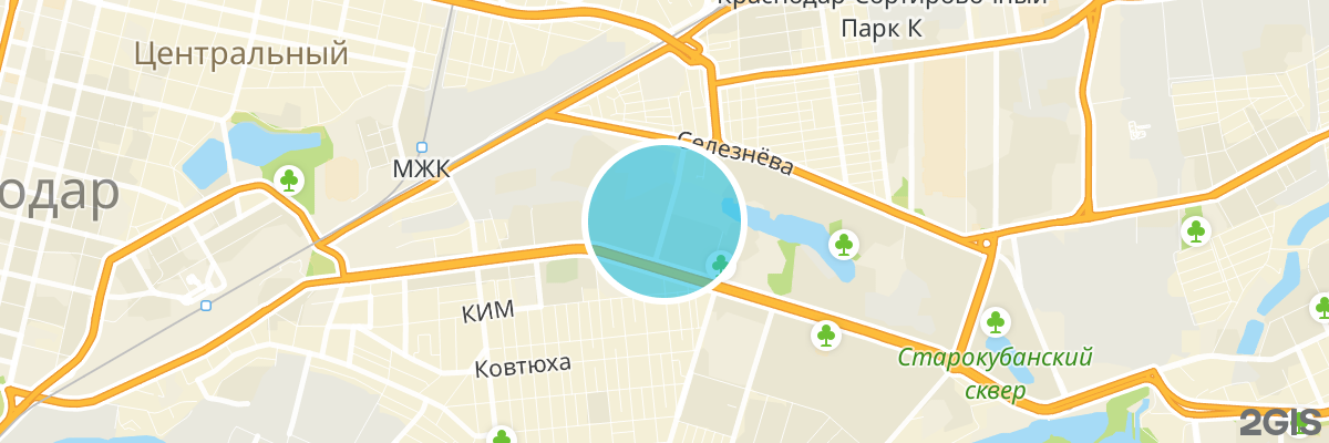 2gis map
