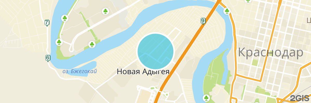 2gis map