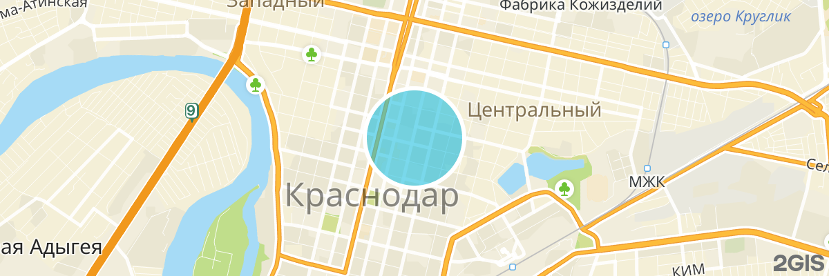 2gis map