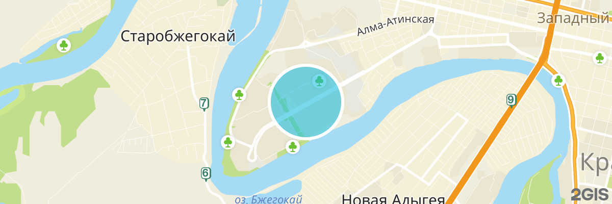 2gis map