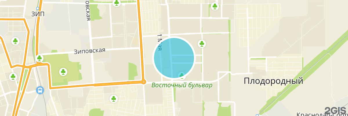 2gis map