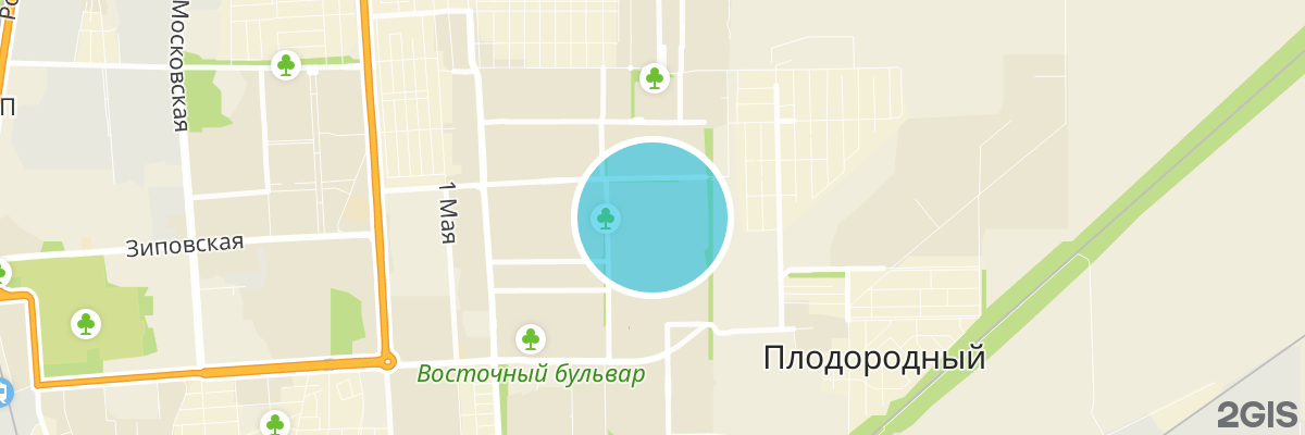 2gis map