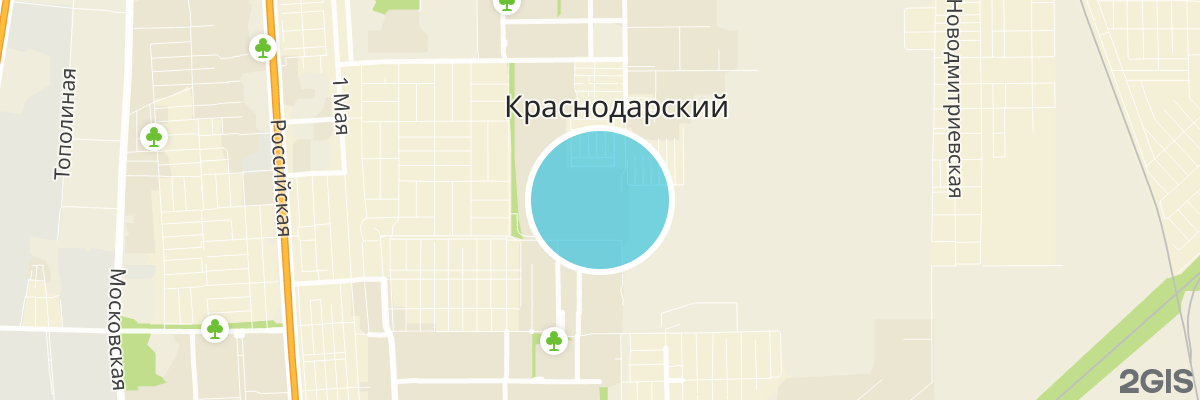 2gis map
