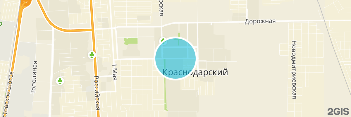2gis map
