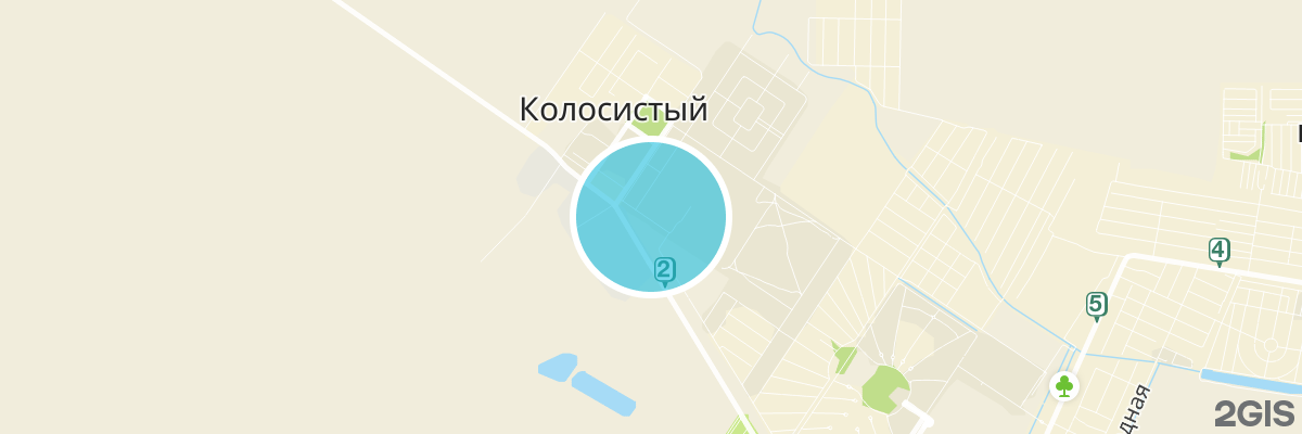2gis map