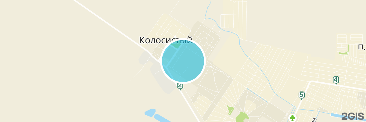 2gis map