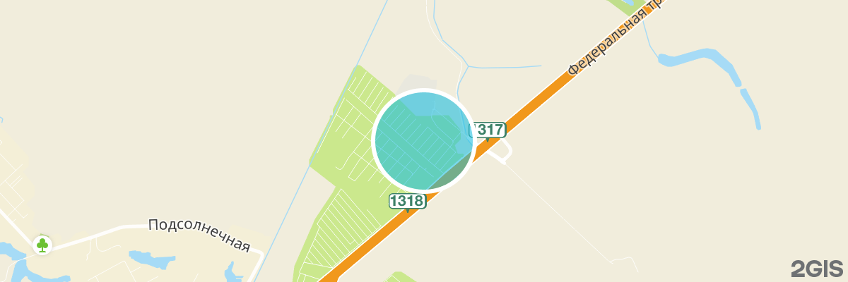2gis map