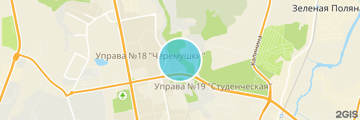 2gis map