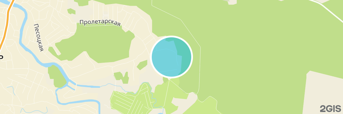 2gis map