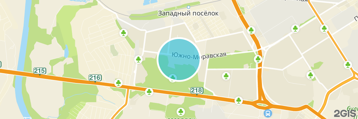 2gis map
