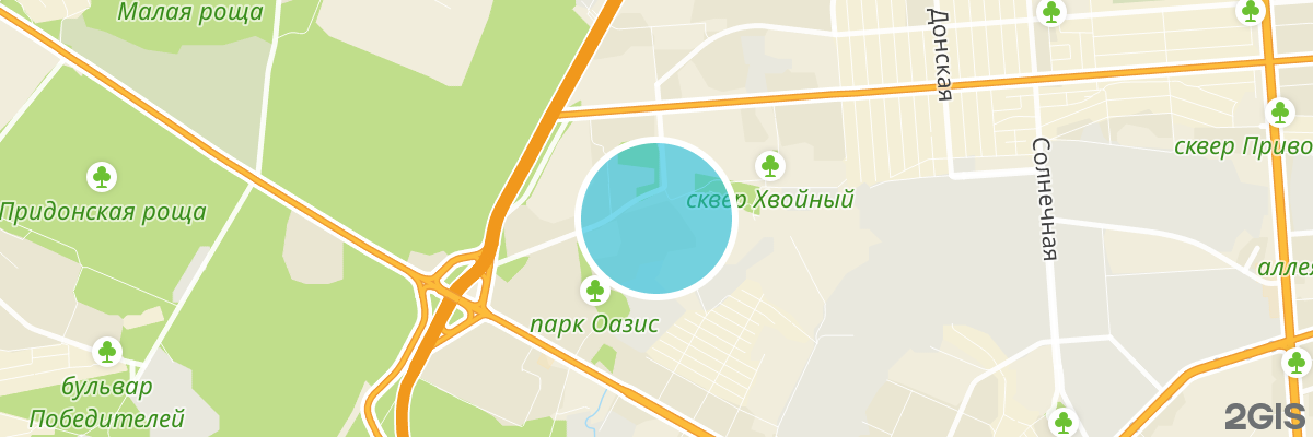 2gis map