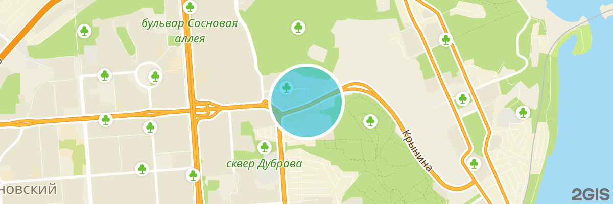 2gis map