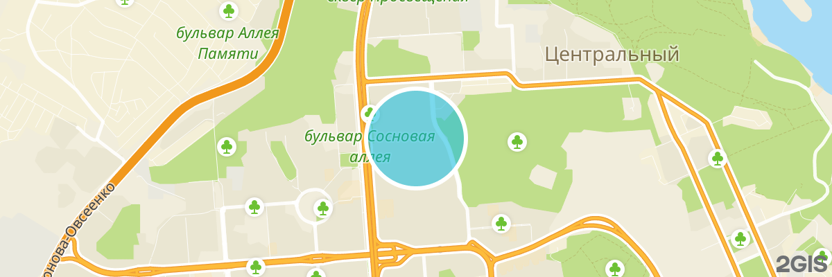 2gis map