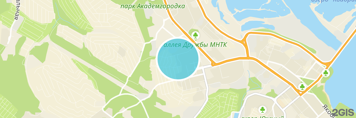2gis map