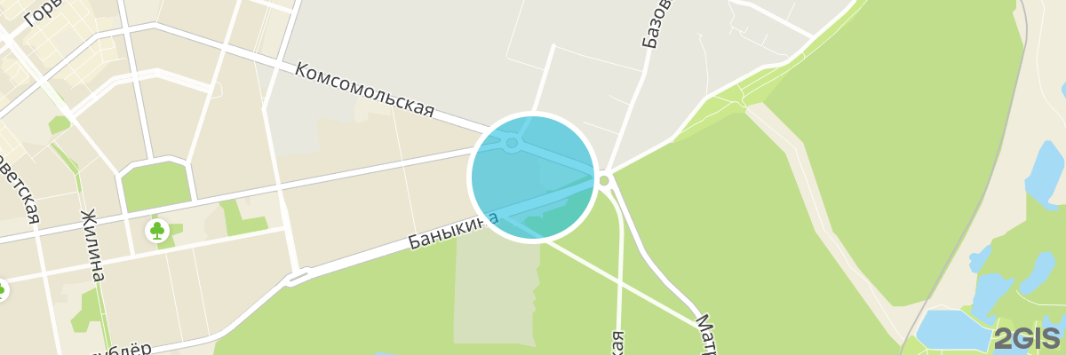 2gis map