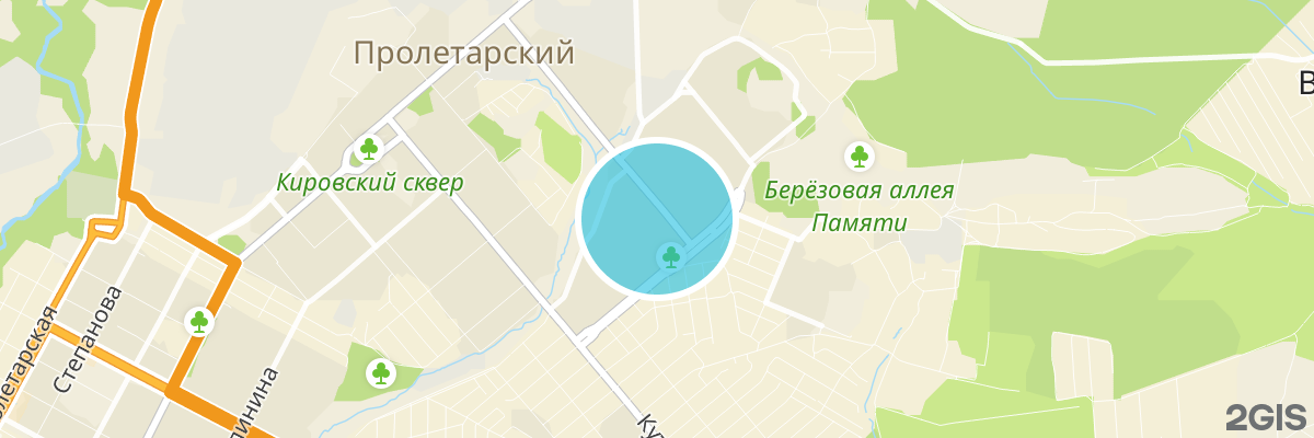 2gis map
