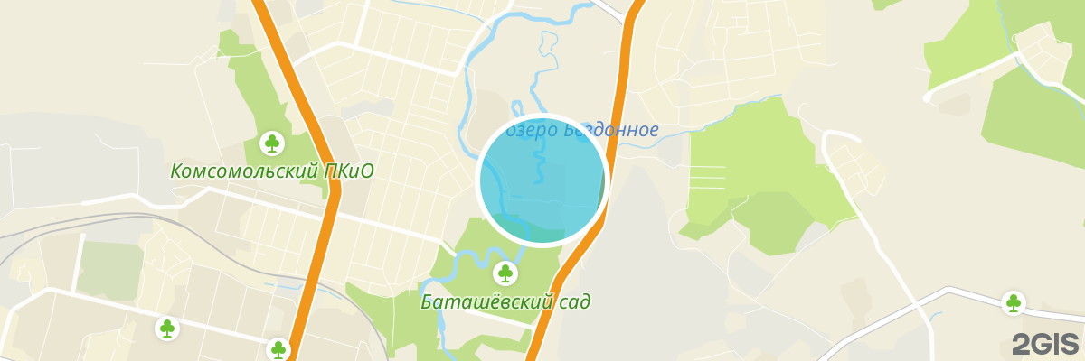 2gis map
