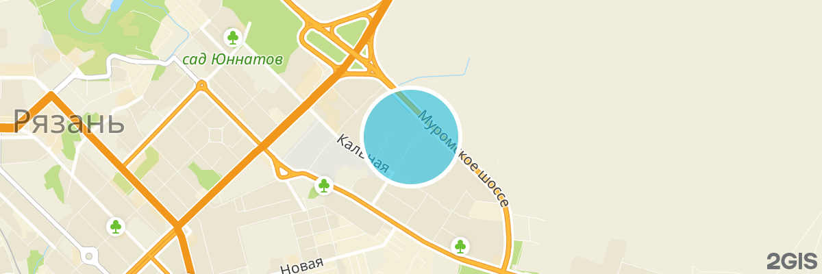 2gis map