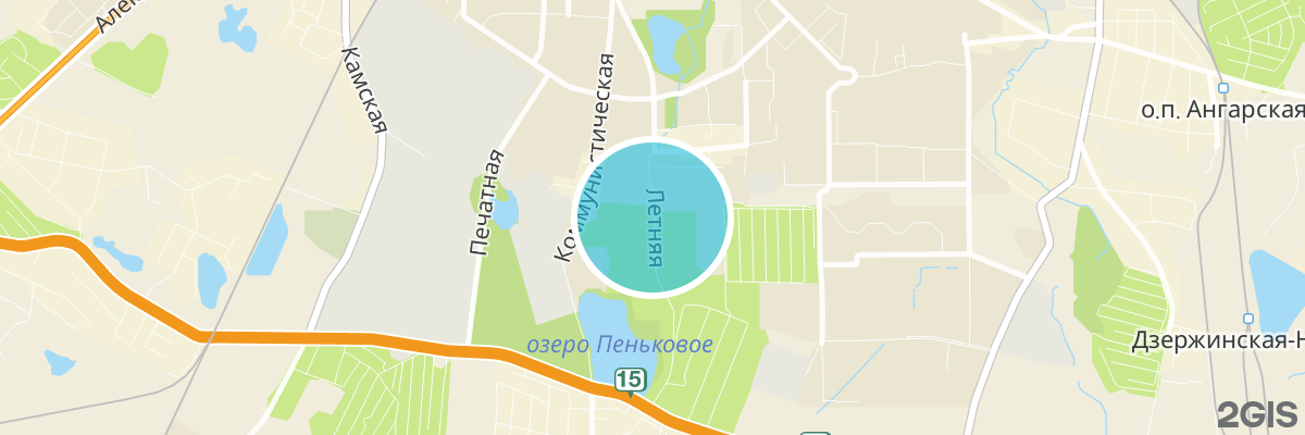 2gis map