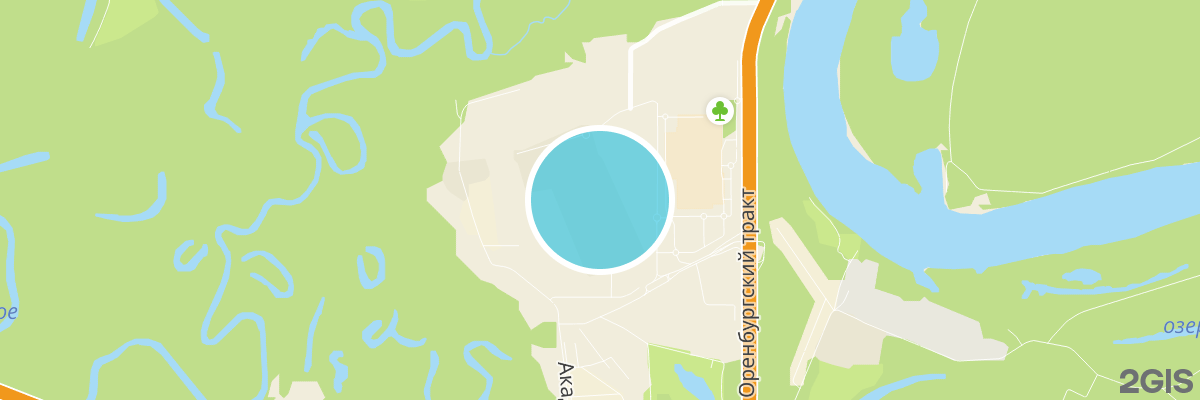 2gis map