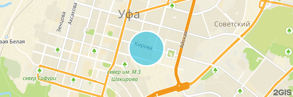 2gis map
