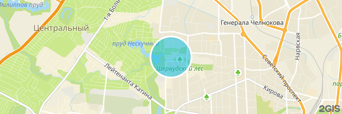 2gis map