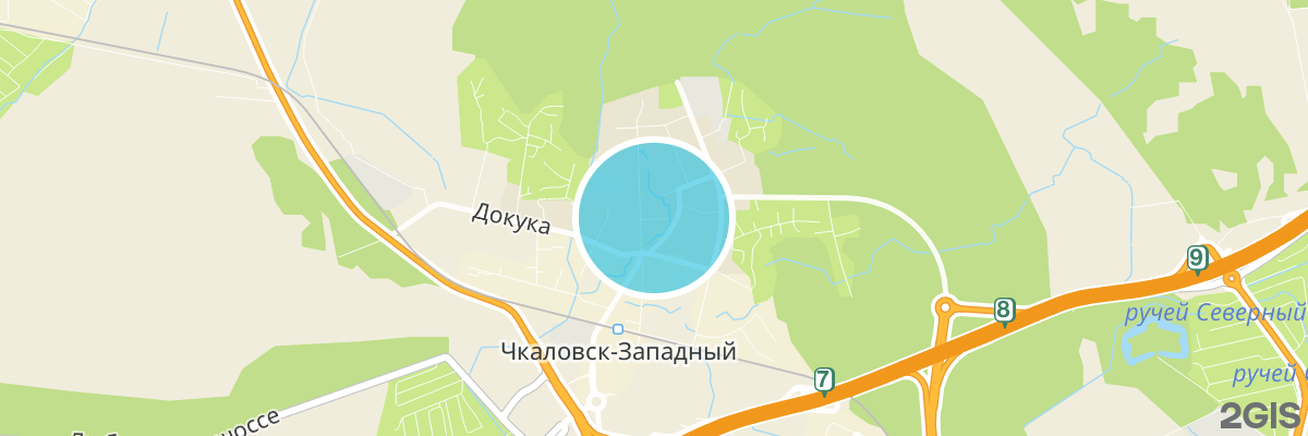 2gis map