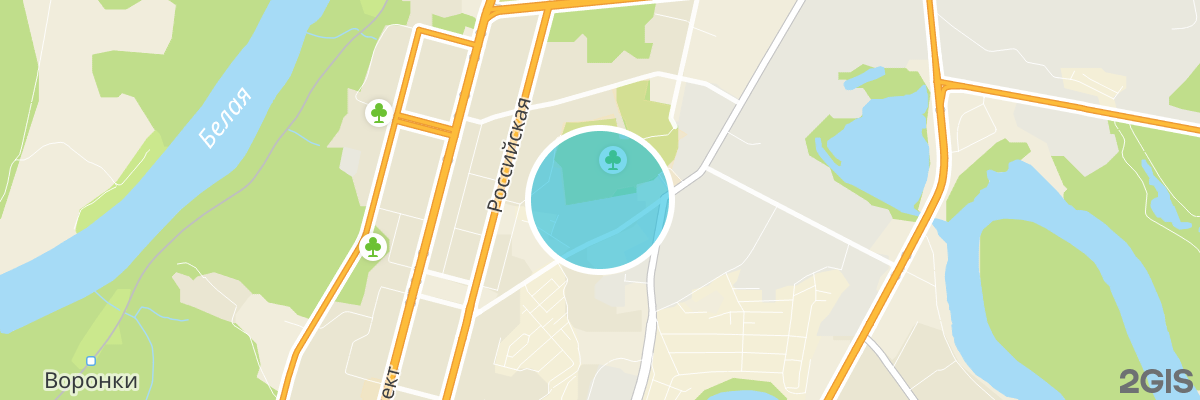 2gis map