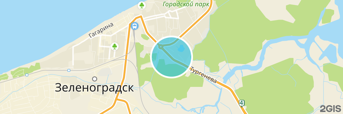 2gis map