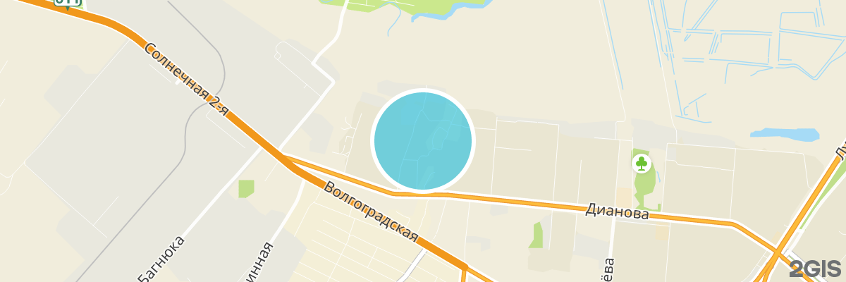 2gis map