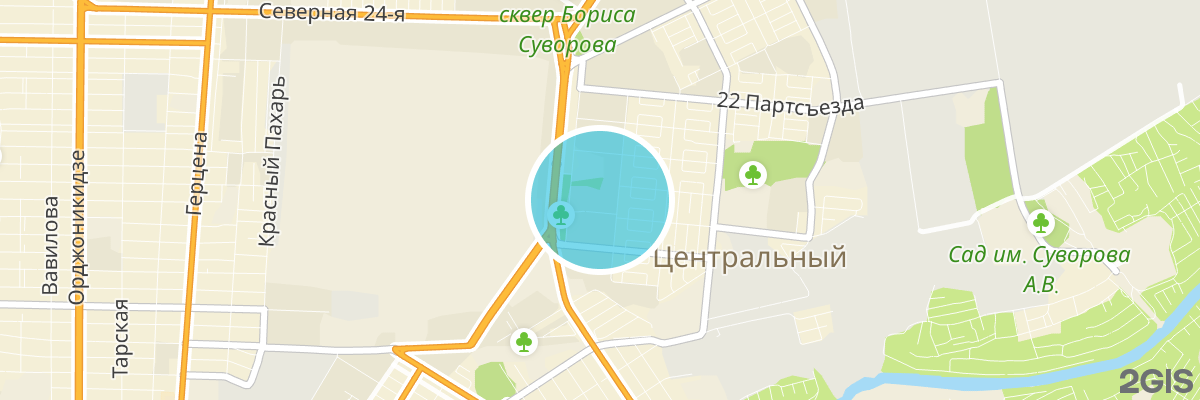 2gis map